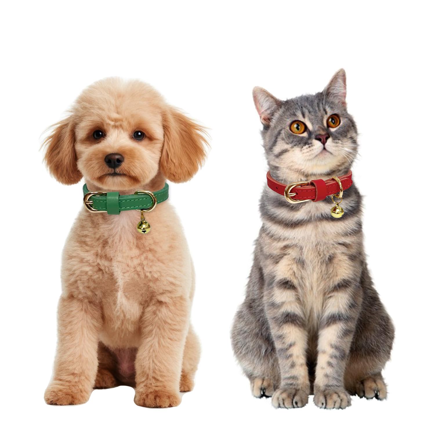 Guiding Star red leather collar worn by a small dog for stylish high-visibility color.