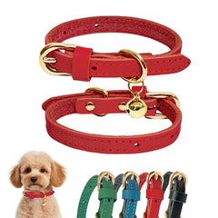 Guiding Star leather collar puppy close-up shows soft genuine leather for daily wear.