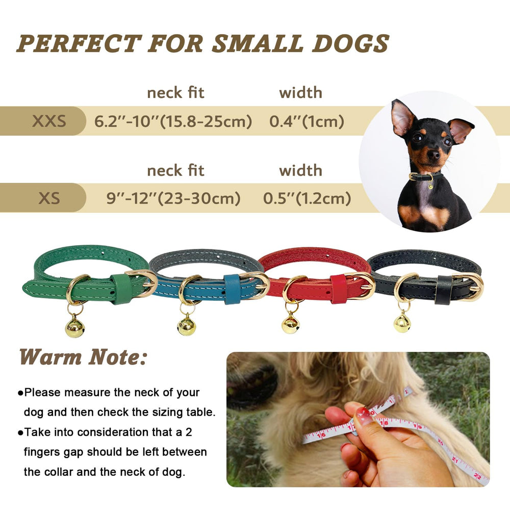 Guiding Star leather collar XXS size demonstrates secure buckle and D-ring for small dogs.