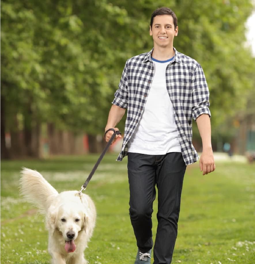 Guiding Star Leather Dog Leash genuine leather label and quality promise.