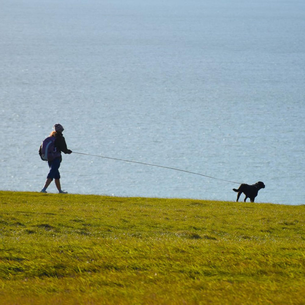 Guiding Star outdoor-training leash suited for hiking, beach and outdoor play.
