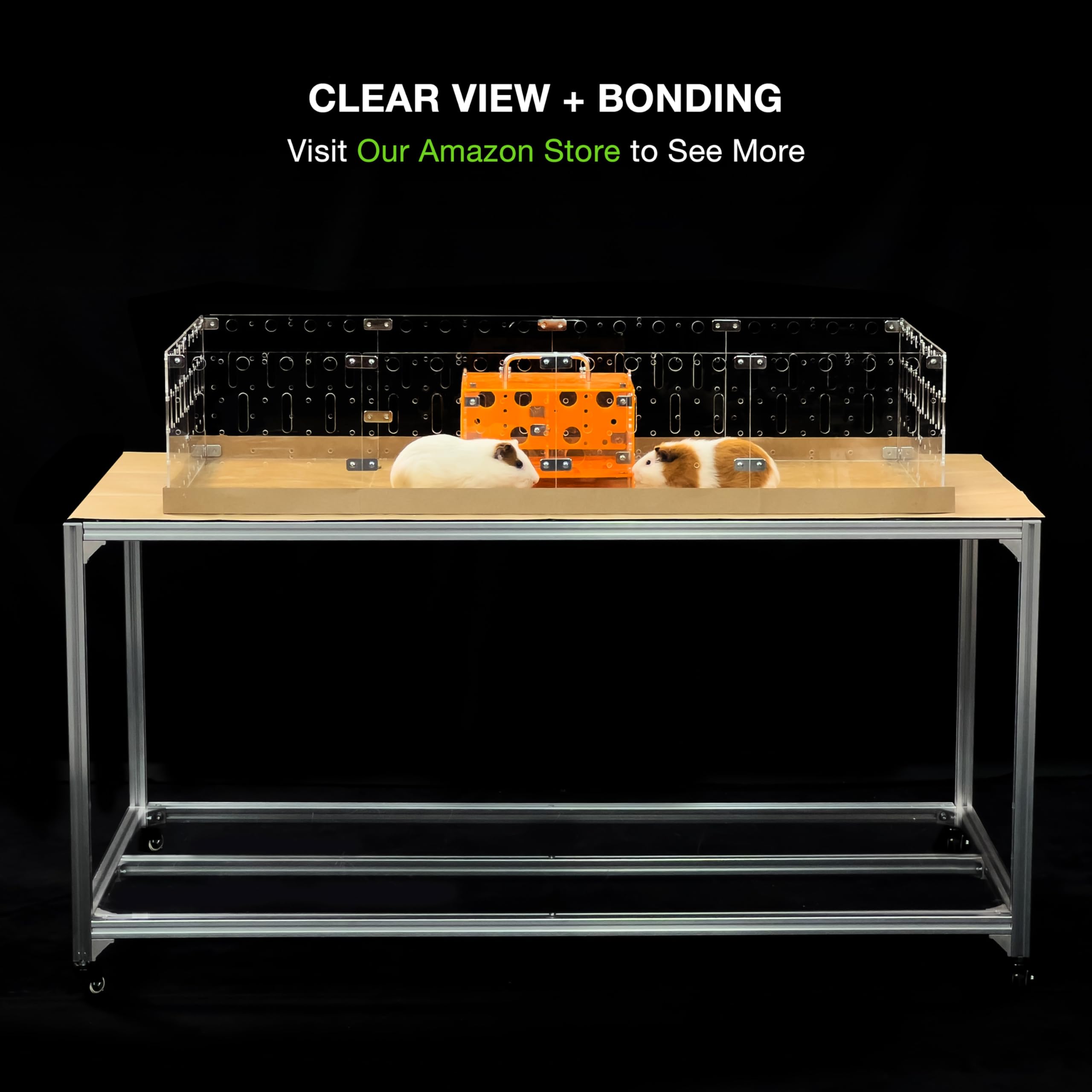 GuineaLoft acrylic walls provide a mess-free enclosure for small pets