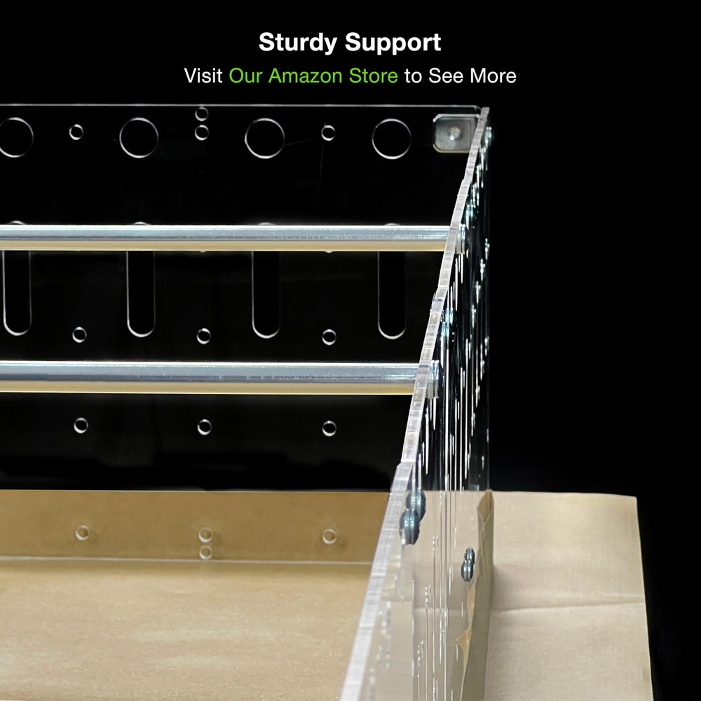 GuineaLoft Beams hurdles-play-structure setup enables gentle obstacle courses.