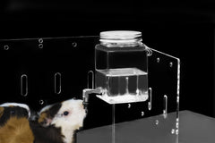GuineaLoft Clear View bottle with hook-and-hang design offers easy, drip-free use.