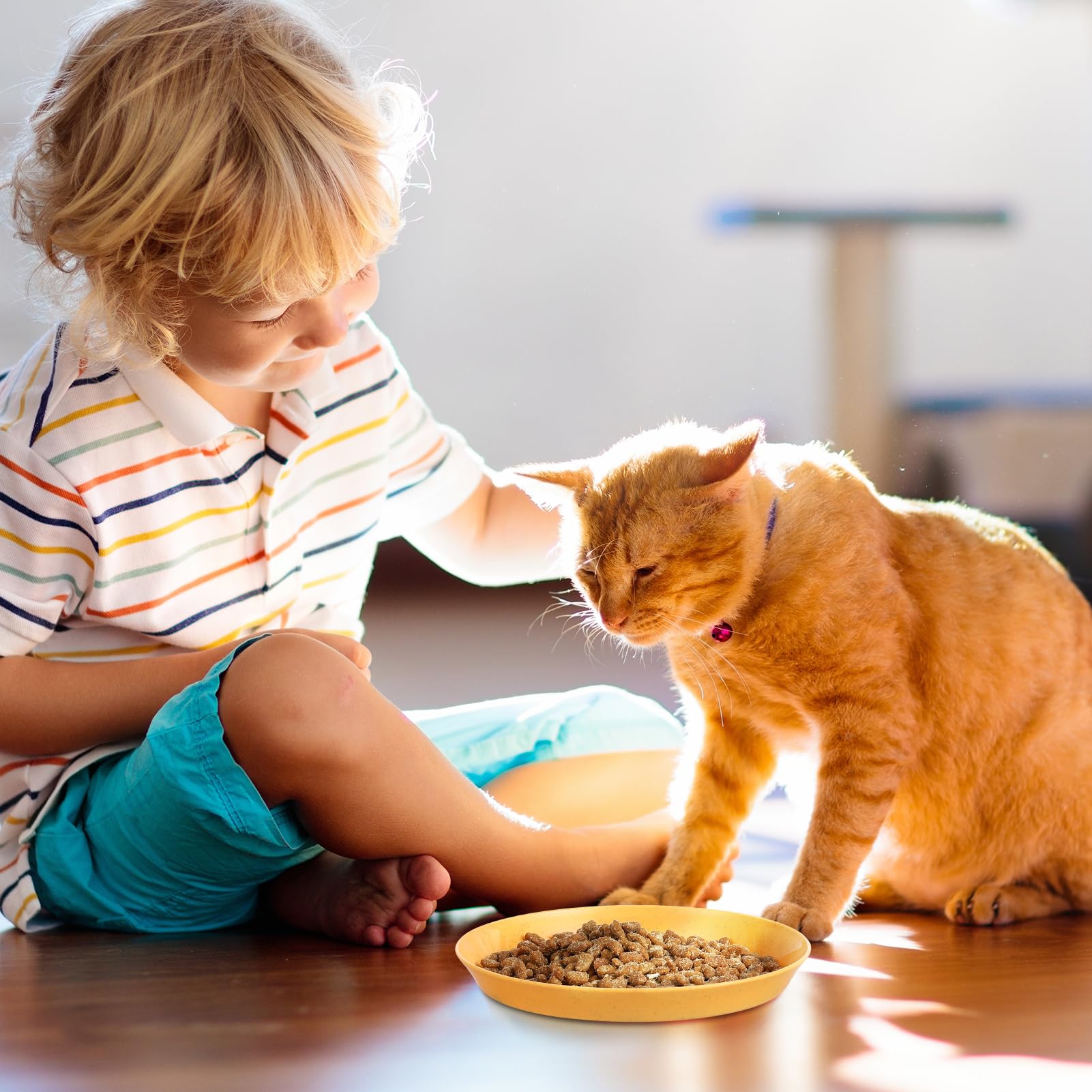 Guiqulai 5.9-inch shallow bowls ideal for small pets and compact dining spaces.