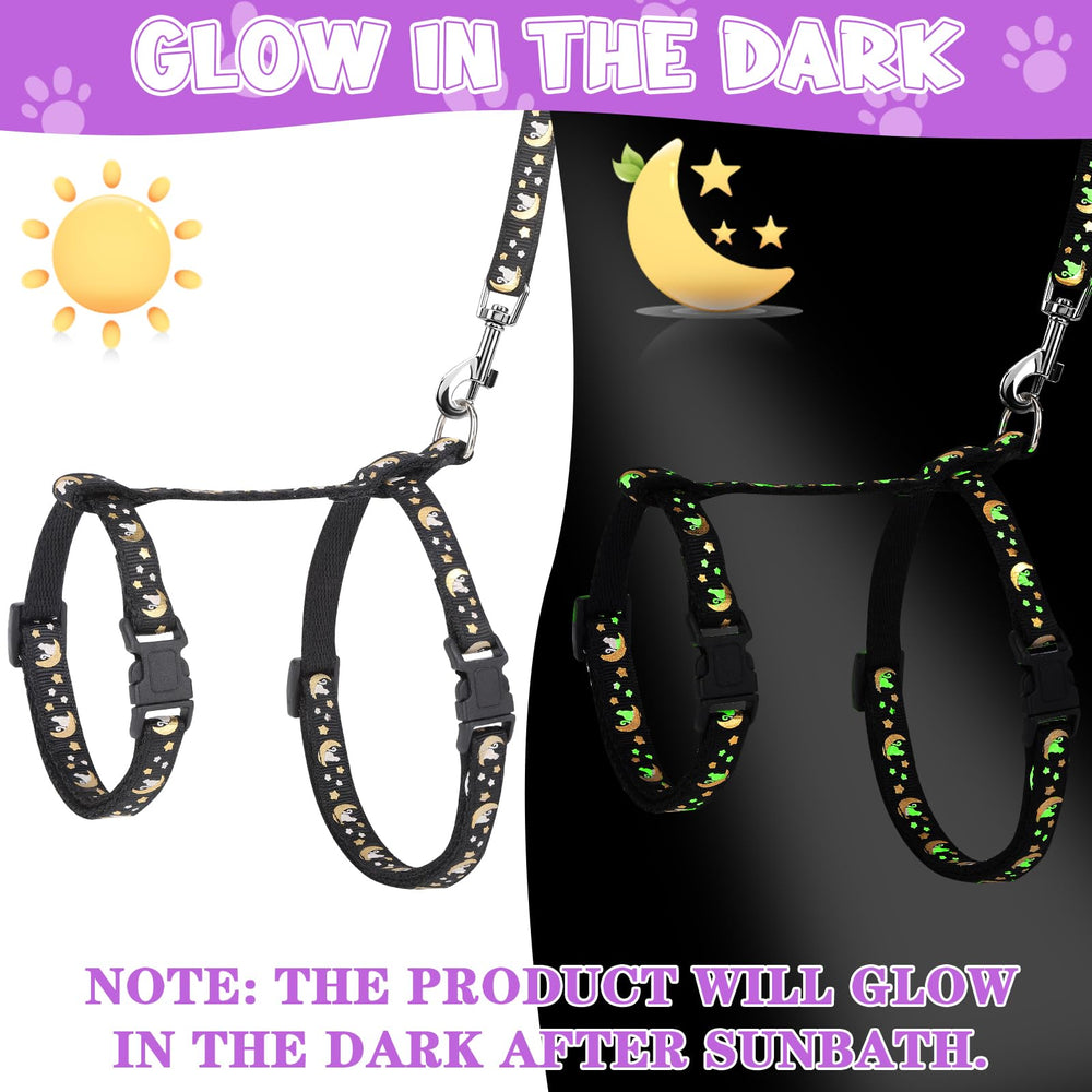 Guiqulai 59-inch cat leash in use for safe outdoor adventures