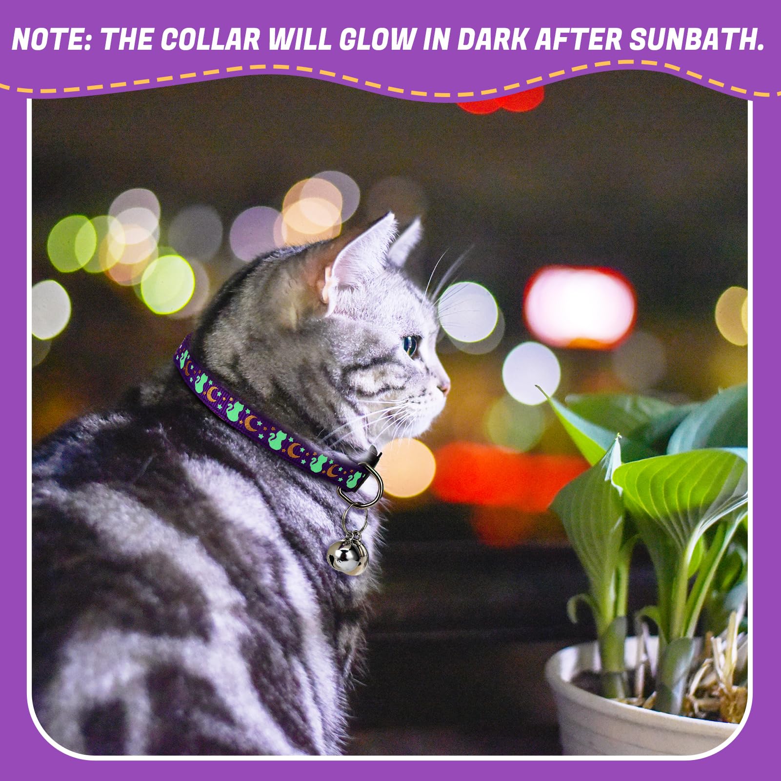 Guiqulai adjustable cat collar 7-11 inches fits most cats.