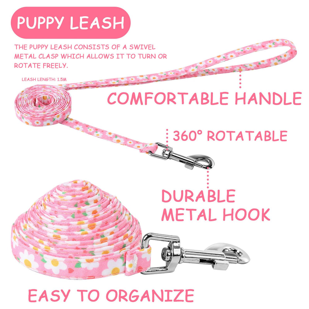 Guiqulai adjustable dog collar 20-31cm ensures comfortable fit.