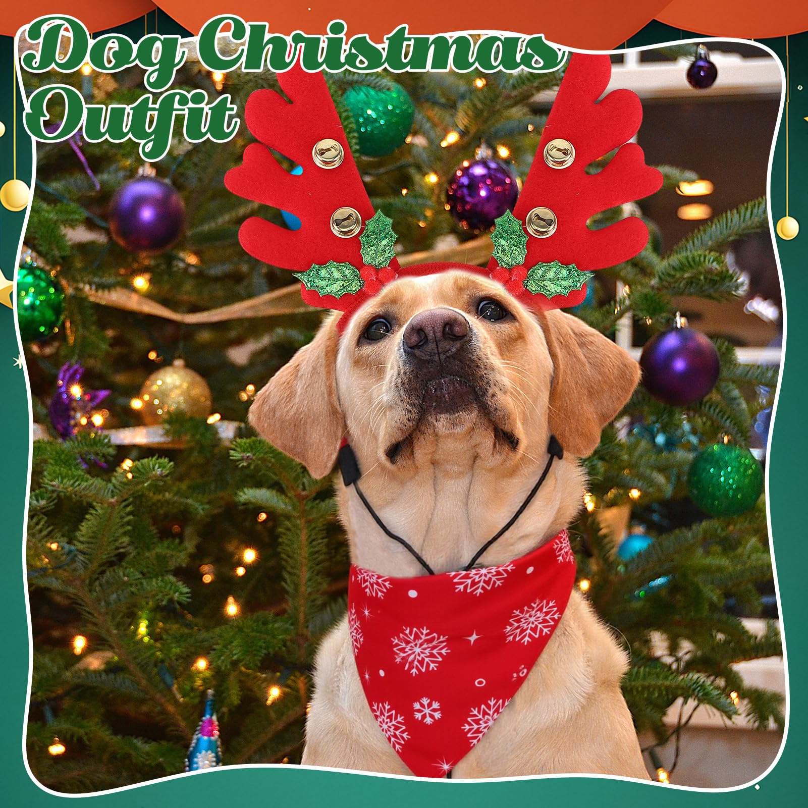 Guiqulai Christmas pet costume set image showing six-piece collection