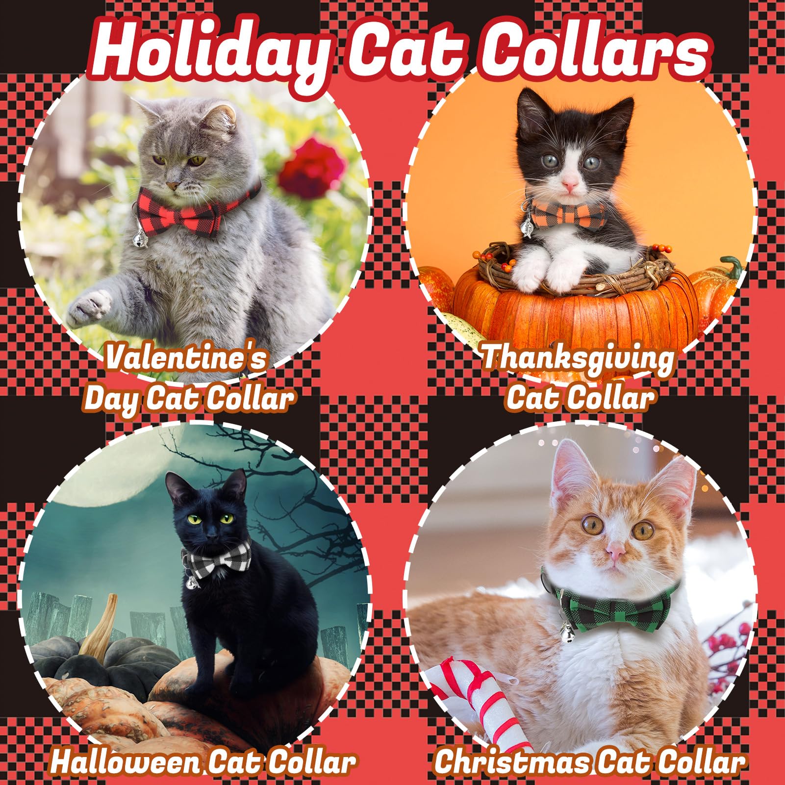 Guiqulai six-color collection offers options for everyday wear and special occasions