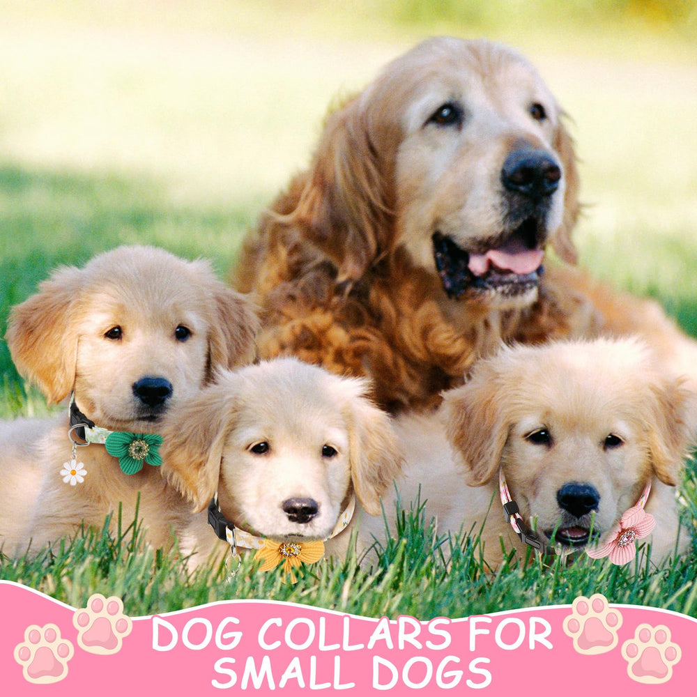 Guiqulai daily-walk puppy-use-set supports comfy outdoor adventures.