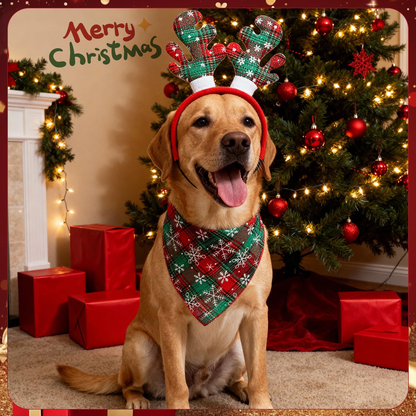 Guiqulai family photo ready dog elf costume set
