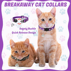Guiqulai glow-in-the-dark collar for easy nighttime visibility.