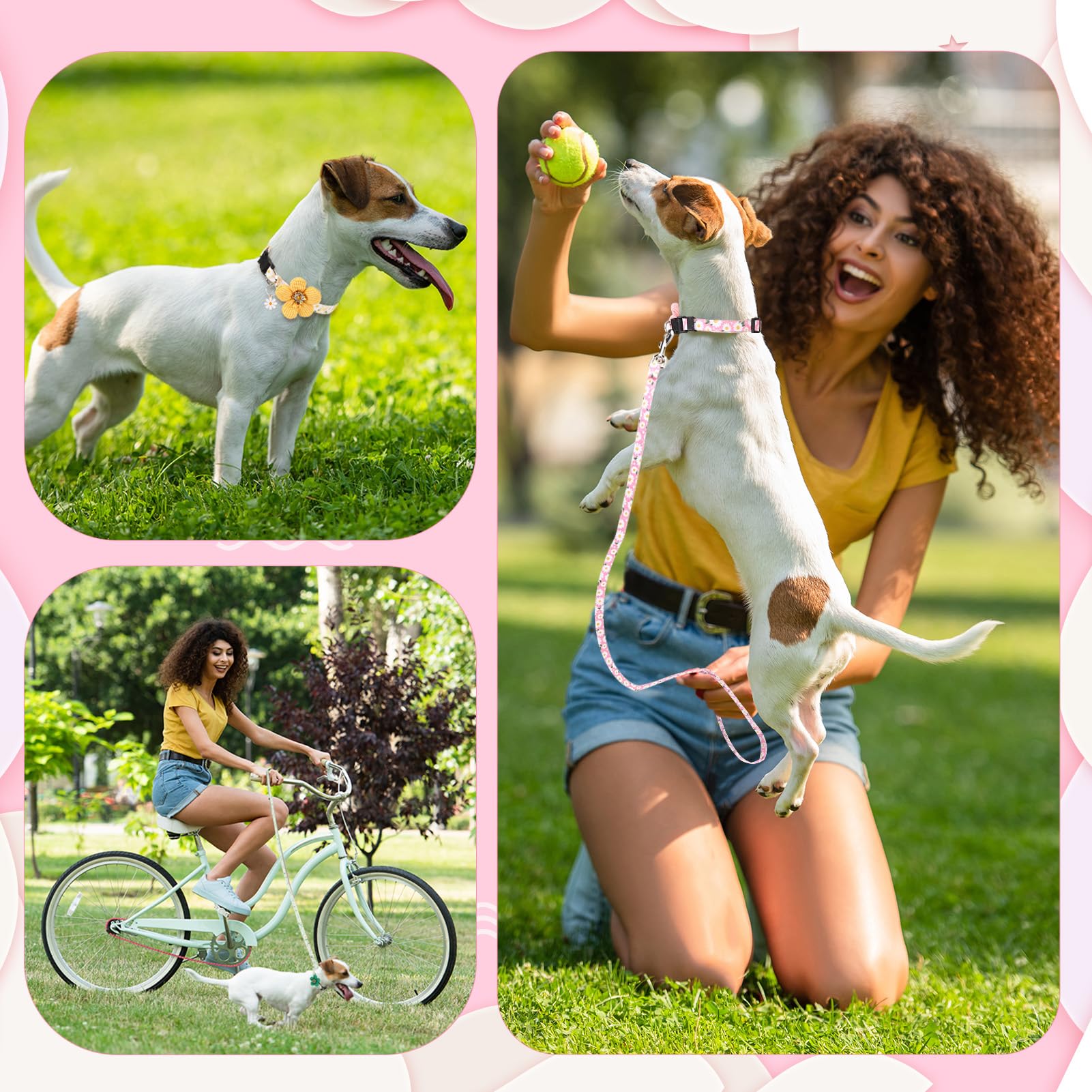 Guiqulai metal D-Rings provide secure leash attachment during outings.