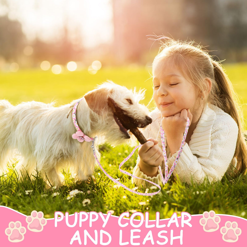 Guiqulai safety release buckle on collar simplifies on/off during walks.