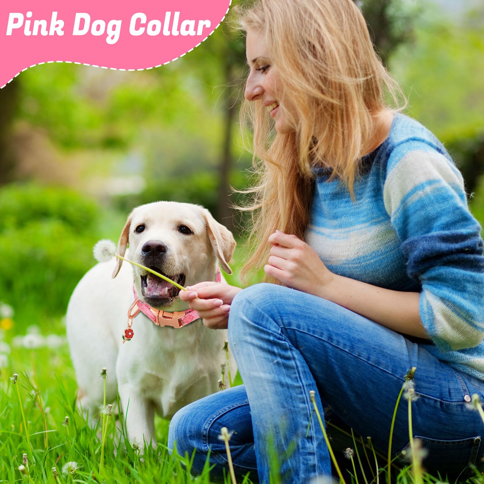 Guiqulai small-dog collar worn outdoors, soft polyester comfort for daily adventures.