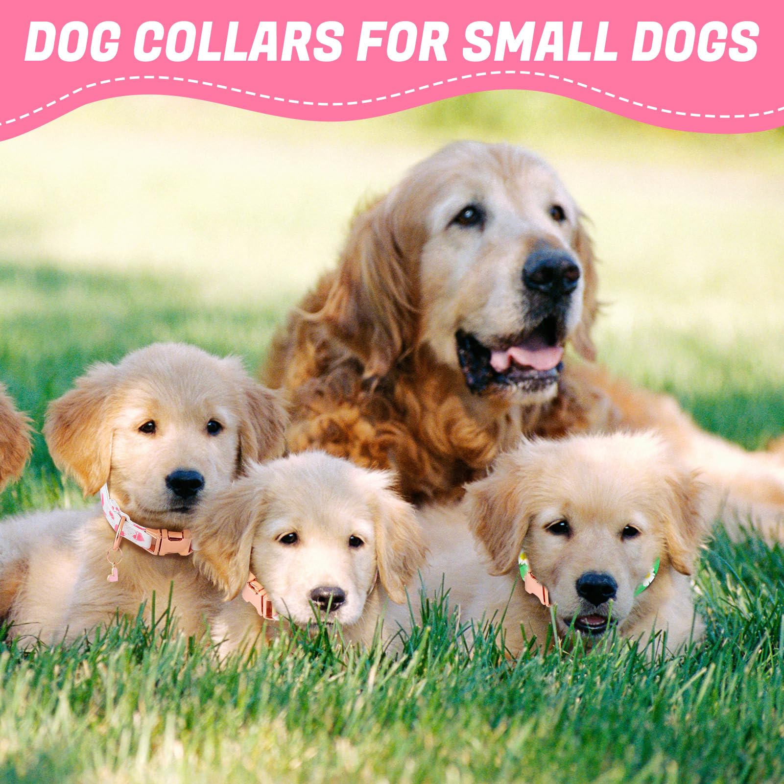 Guiqulai soft polyester fabric collar, gentle on skin and comfortable.