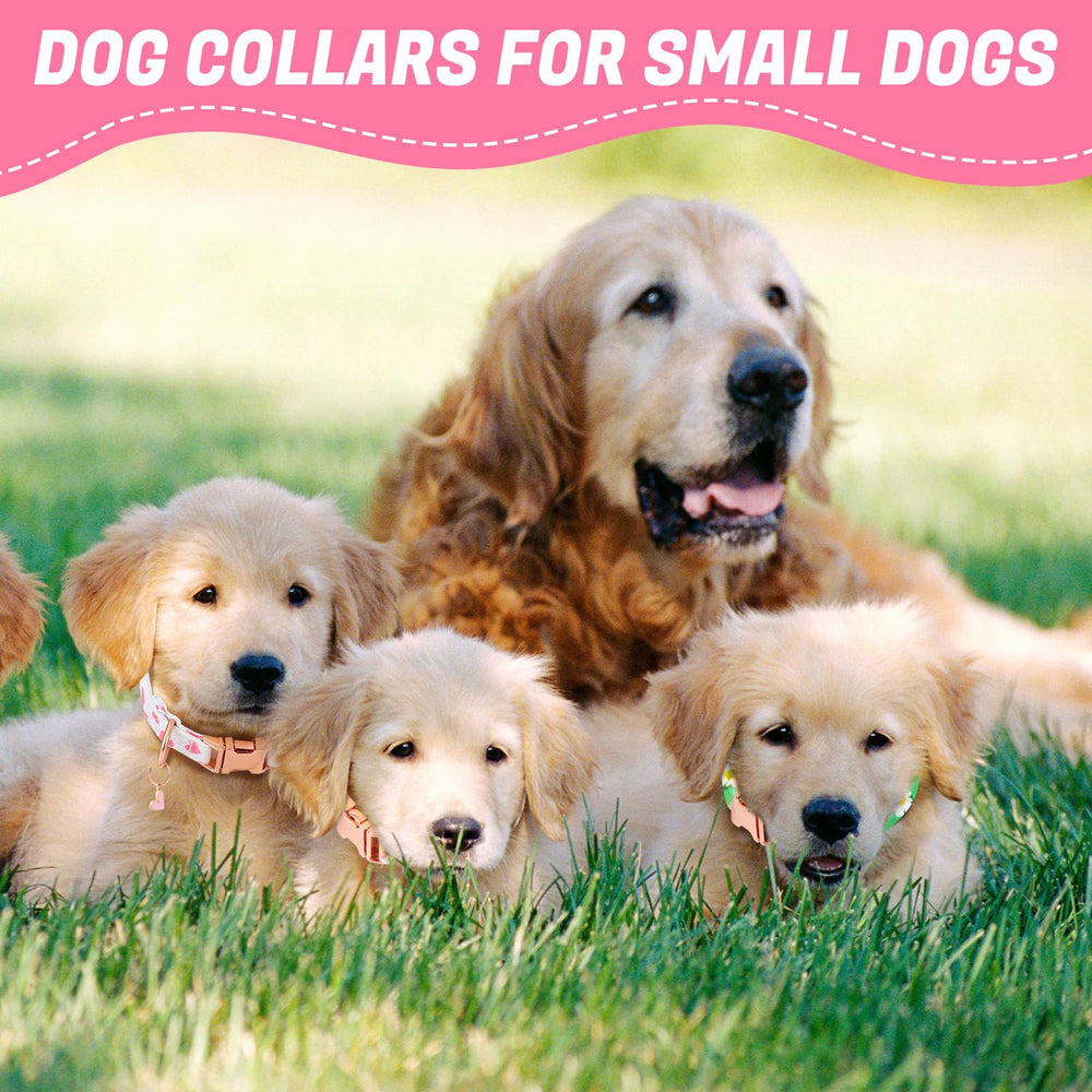 Guiqulai soft polyester fabric collar, gentle on skin and comfortable.