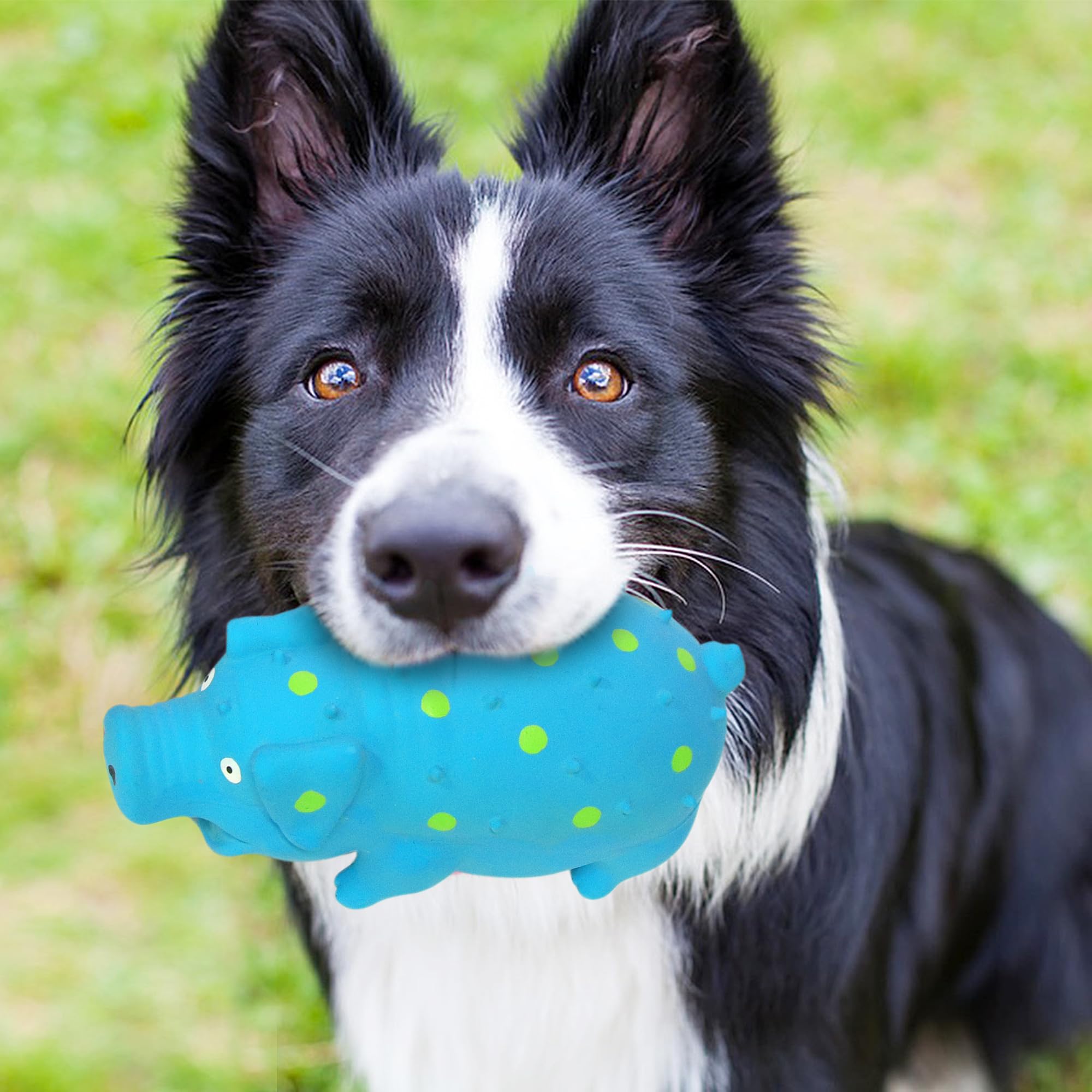 Guiwawa 3-pack offers value for dogs' play and holiday gifting