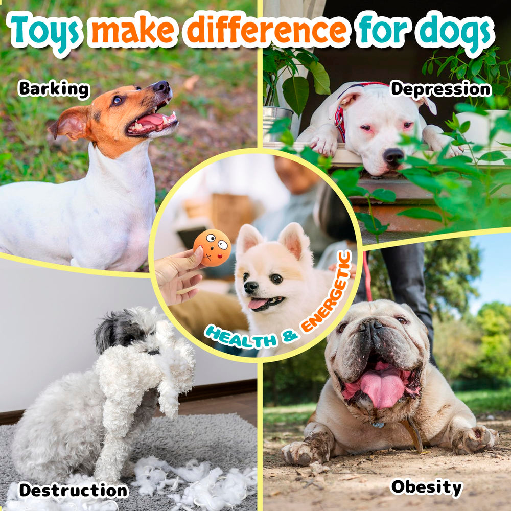 Guiwawa 6pc set-pack offers versatile toys for varied daily play