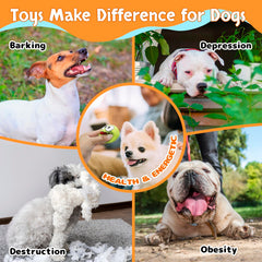 Guiwawa squeaky dog toy water play demonstrates easy-clean rubber for splashy fun