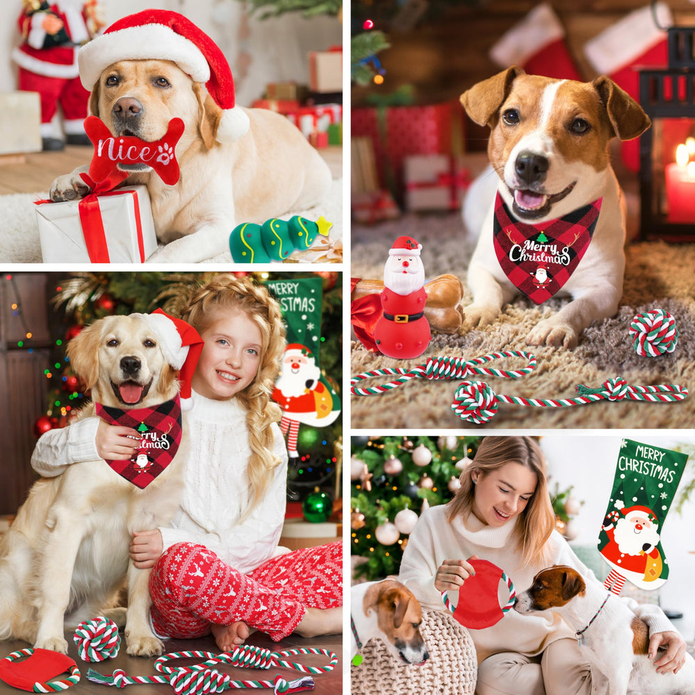 GuiZha Christmas stocking set includes cleanup supplies for easy gifting