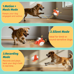 GUKCO Crab interactive toy in music mode energizes dogs during play.