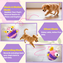 GUKCO dog toy bee rope tug for durable playful tug-and-chew sessions