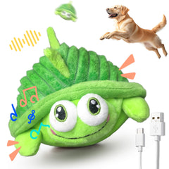 GUKCO Turtle interactive modes showcase engaging play for dogs.