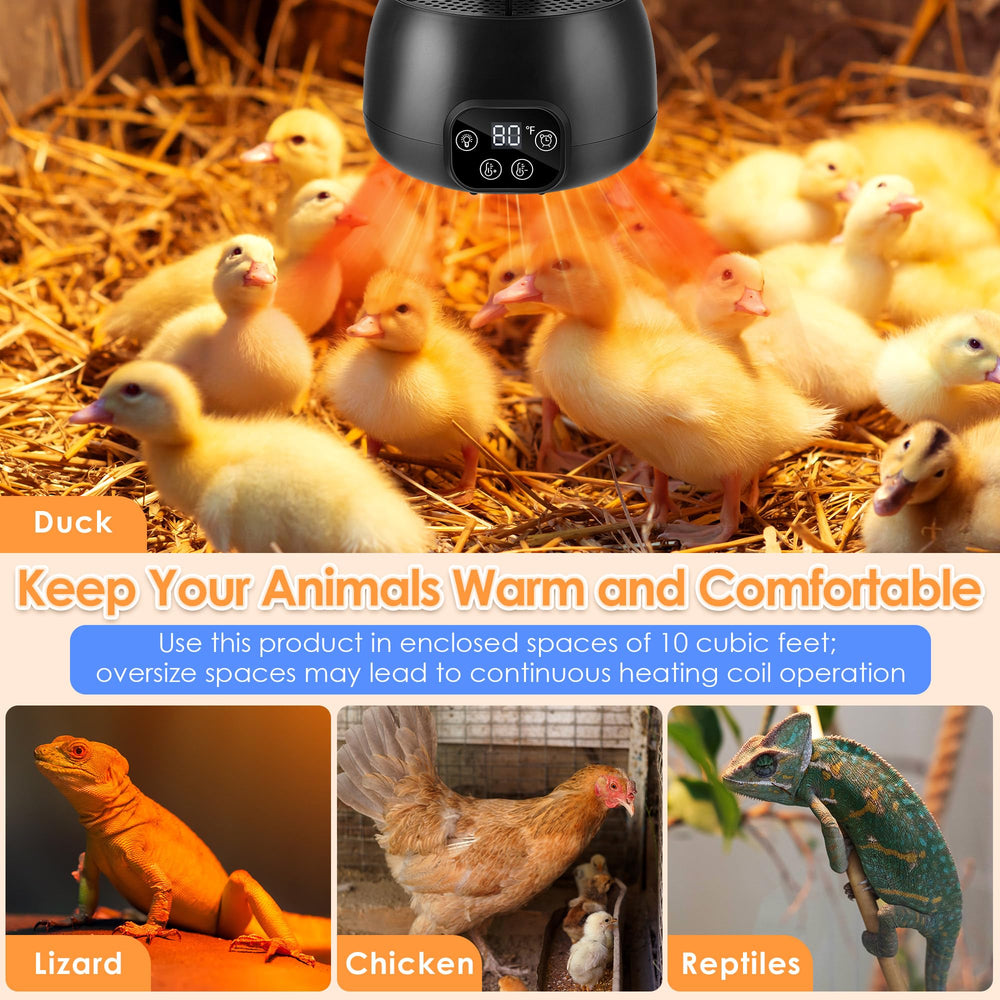 Gulfmew chicken coop heater in-use keeps chicks warm and safe