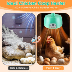 Gulfmew chicken coop heater temperature control maintains stable warmth for chicks