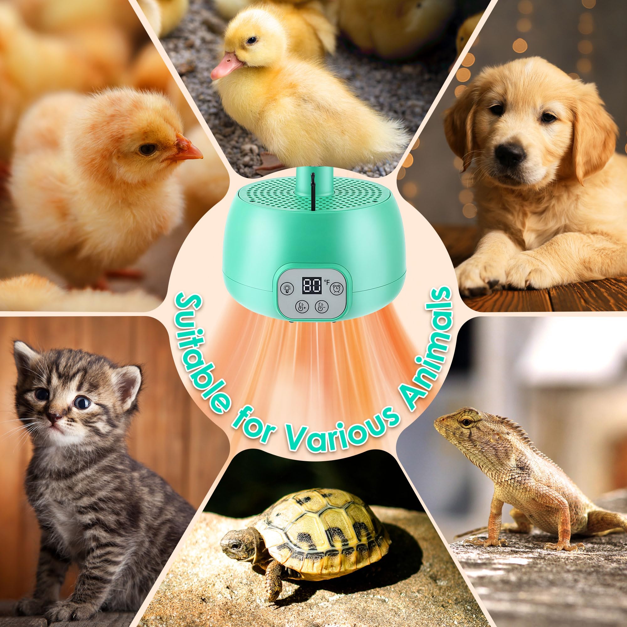 Gulfmew chicken coop heater wide-angle warm air distributes gentle heat evenly
