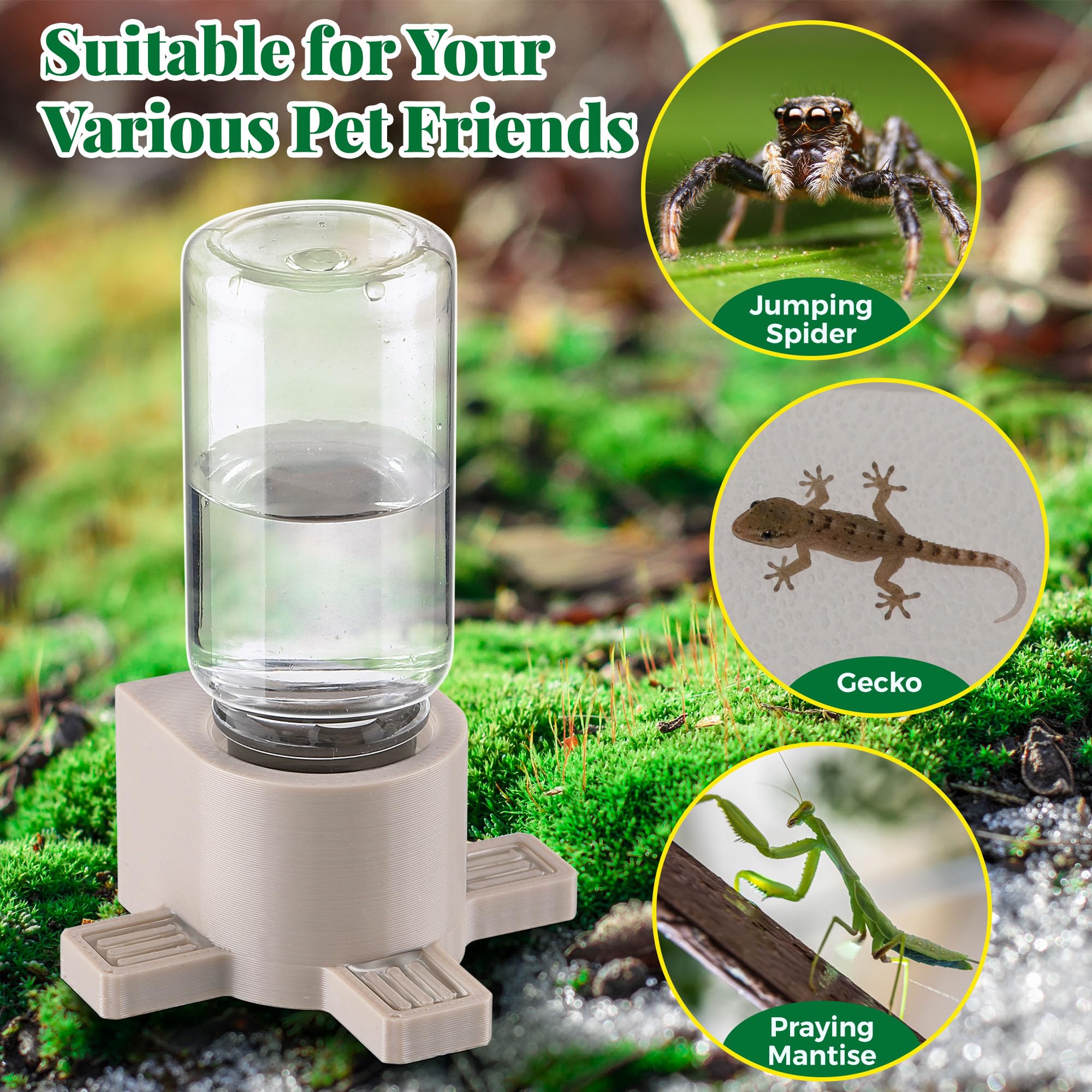 Gulfmew enclosure accessory suitable for tarantulas geckos and small vertebrates