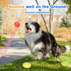 Gulucute large dog toy in soft rubber ideal for chewing sessions.