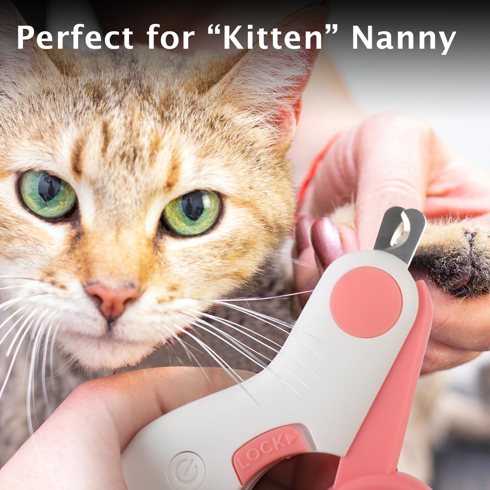 GuLuPets compact design ideal for small pets and travel