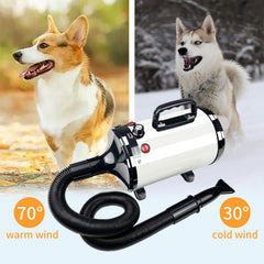 GULUQI Pro pet dryer with silent operation aids calm grooming sessions.