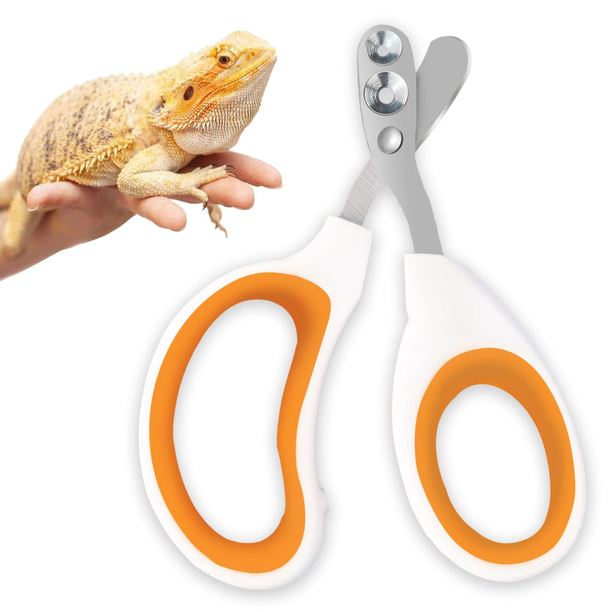 GUNEDD Bearded Dragon Clippers with depth holes and angled groove enable precise trimming.