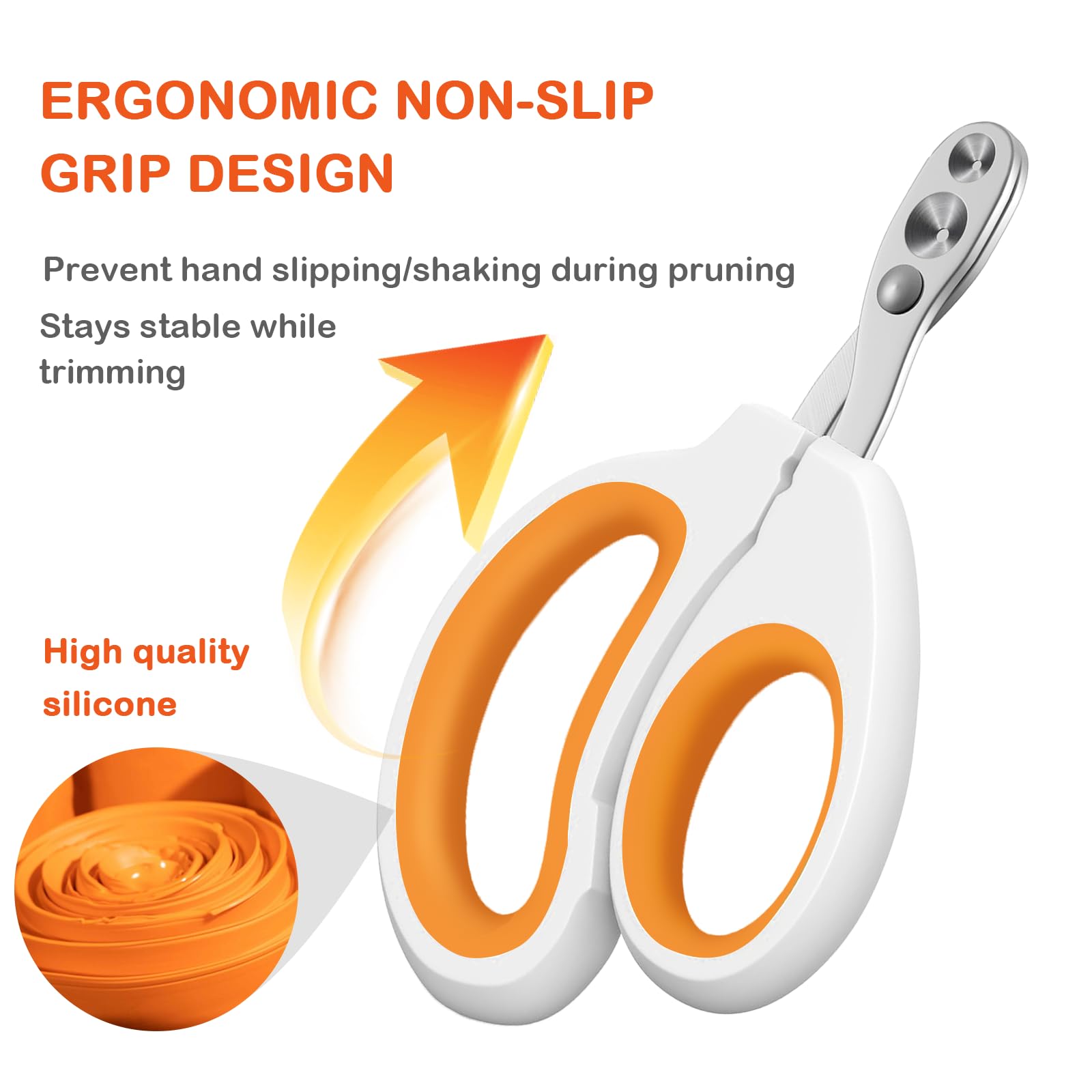 GUNEDD Bearded Dragon Clippers in rust-resistant stainless steel for durable grooming sessions.