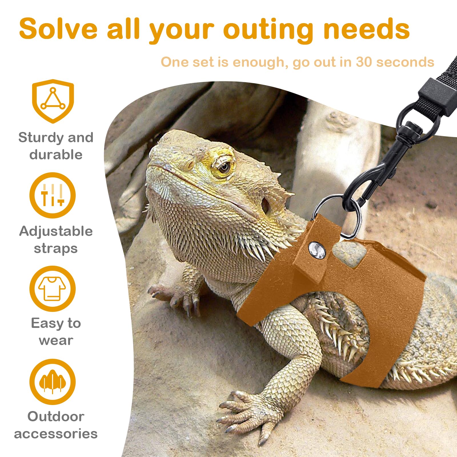 GUNEDD Bearded Dragon harness set shown as a practical gift option.