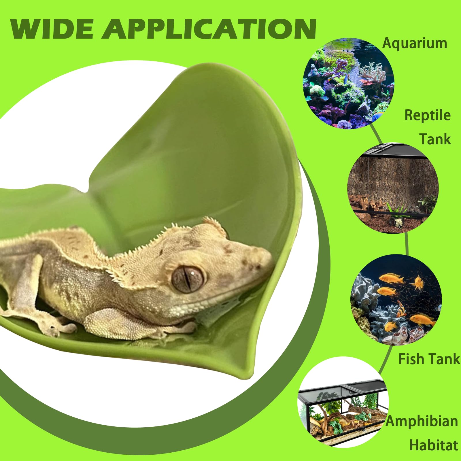 GUNEDD crested gecko tank setup with odorless plastic for a clean habitat.