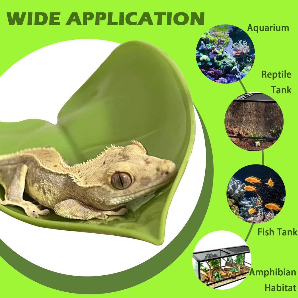 GUNEDD crested gecko tank setup with odorless plastic for a clean habitat.