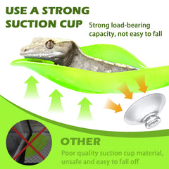 GUNEDD crested gecko wall toy promotes interactive climbing and activity.