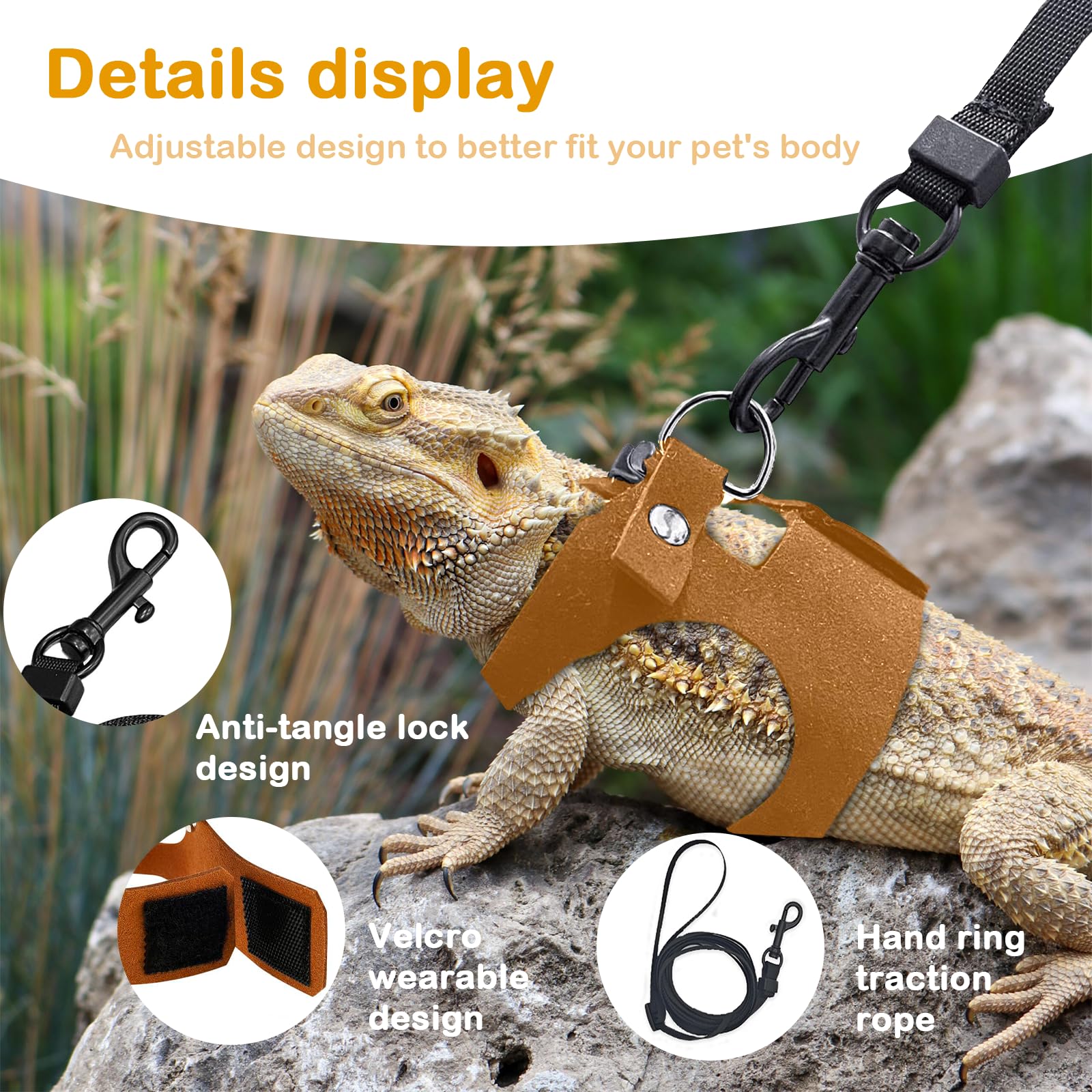 GUNEDD Outdoor companion for bearded dragon walks and exploration.