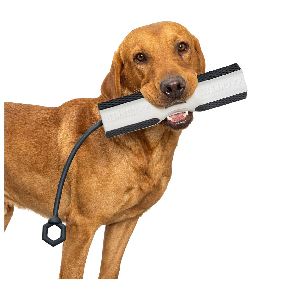 GUNNER dog training bumper demonstrates DuraTrieve construction for rugged outdoor use.