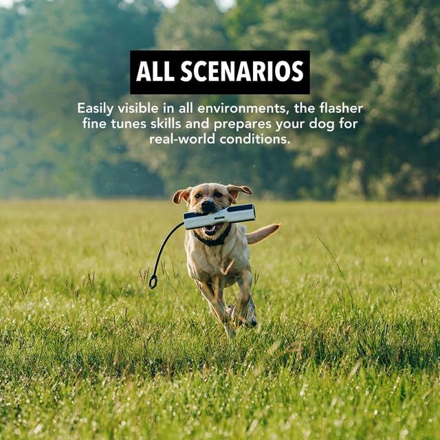 GUNNER dog training bumper's tapered-vented design promotes better hold and airflow during intense sessions.
