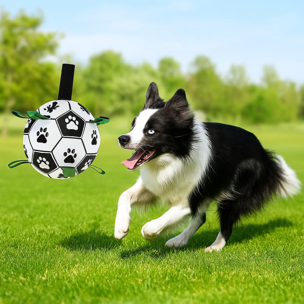 Guowanpp six-inch dog ball suitable for puppies to large dogs.