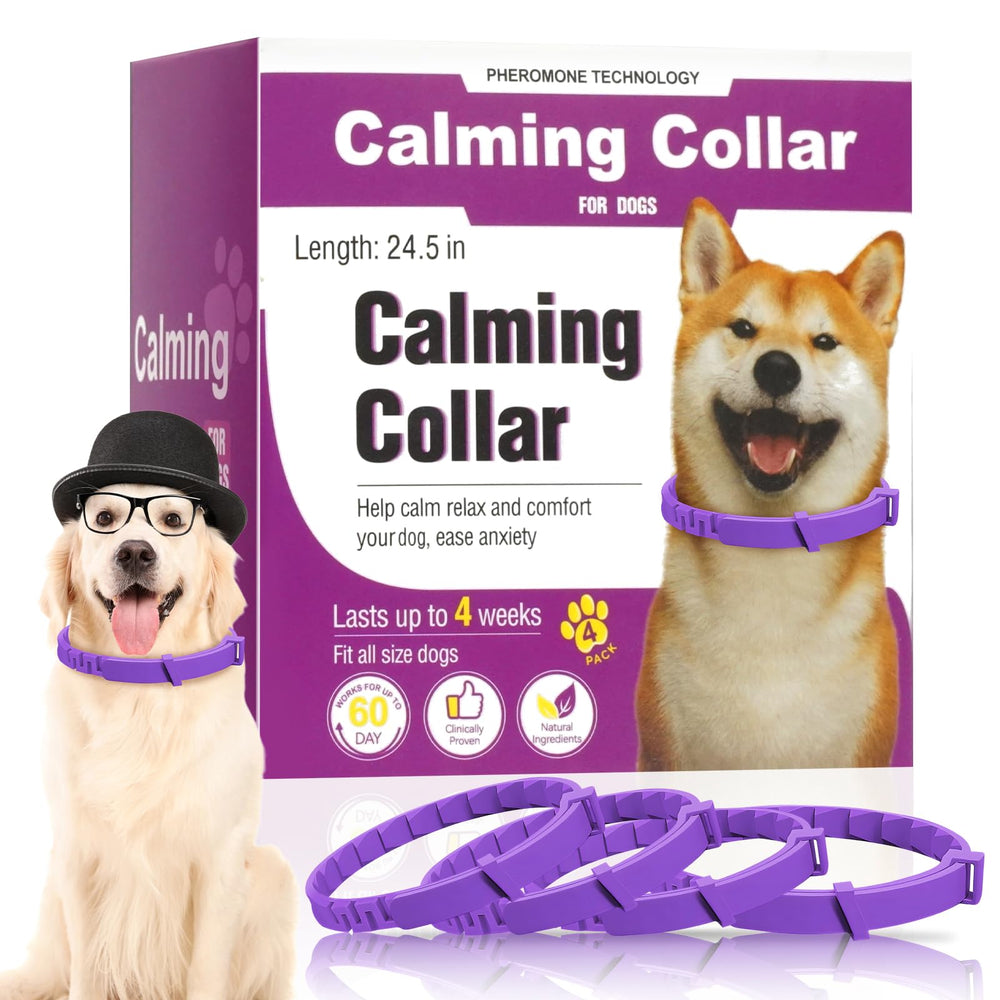 Guowo calming collar four-pack box highlights long-lasting pheromone relief for anxious dogs.