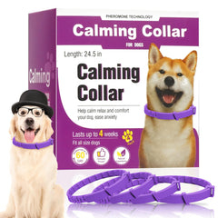 Guowo calming collar four-pack box highlights long-lasting pheromone relief for anxious dogs.