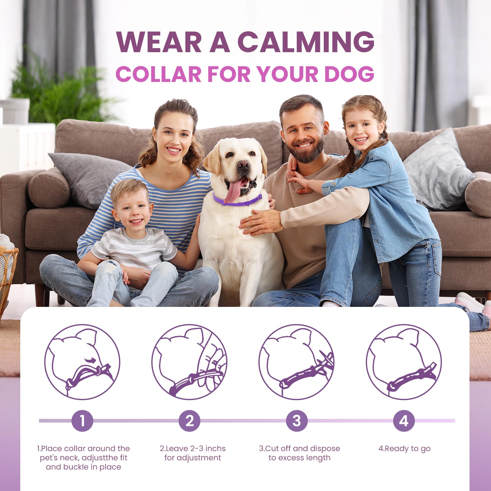 Guowo collar 60-day release showcases extended calming support.