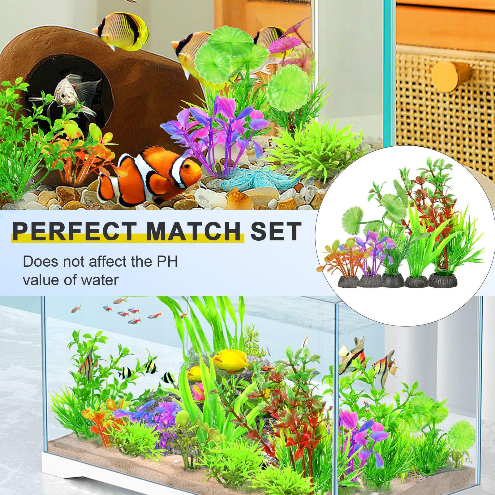 Gupawix aquarium plants easy maintenance for busy tanks.